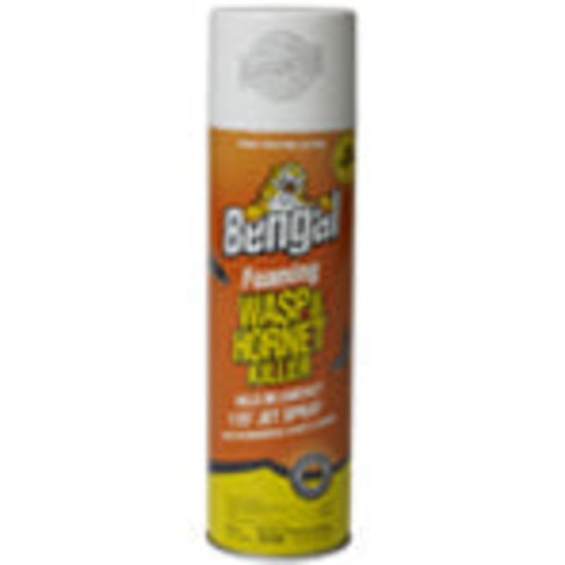Bengal Foaming Wasp & Hornet Killer
