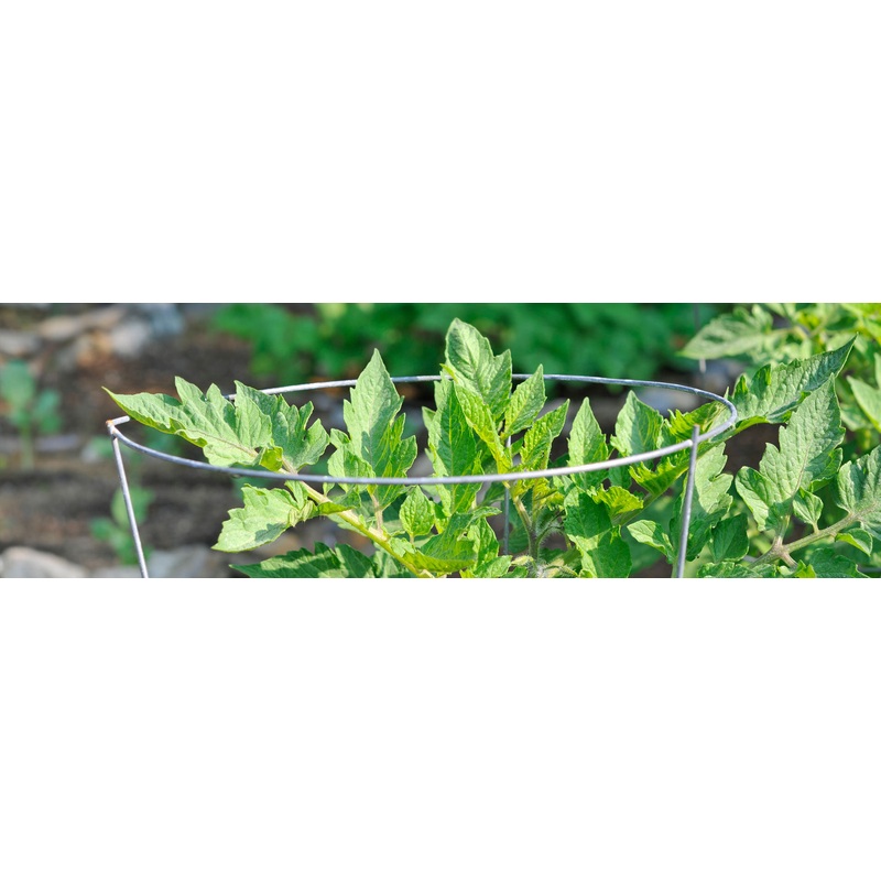 Midwest Plant Support Tomato Cage