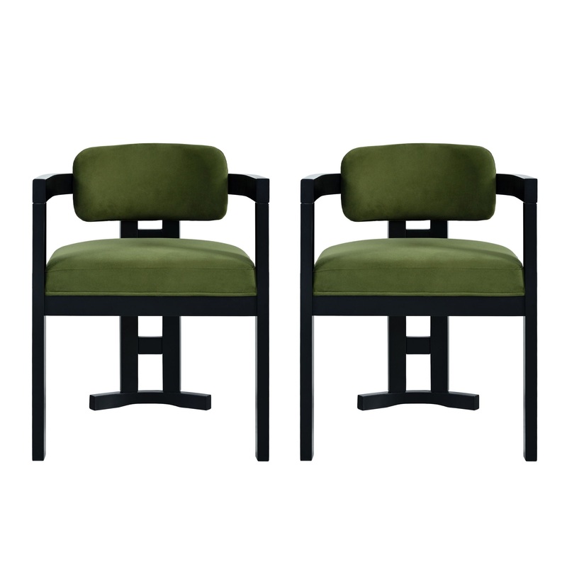 Stylish Indoor Upholstered Wood Dining Chair (Set of 2)