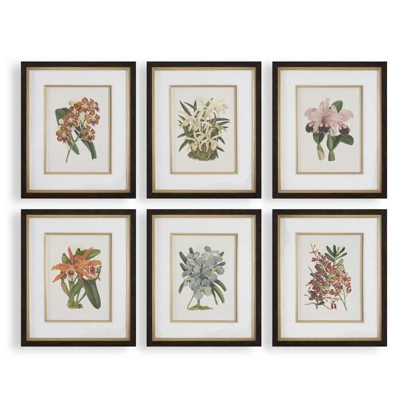 Orchid – Botanical Framed Prints (Set of 6) – Black / Blue / Gold / Green / Orange / Pink / Purple / Red