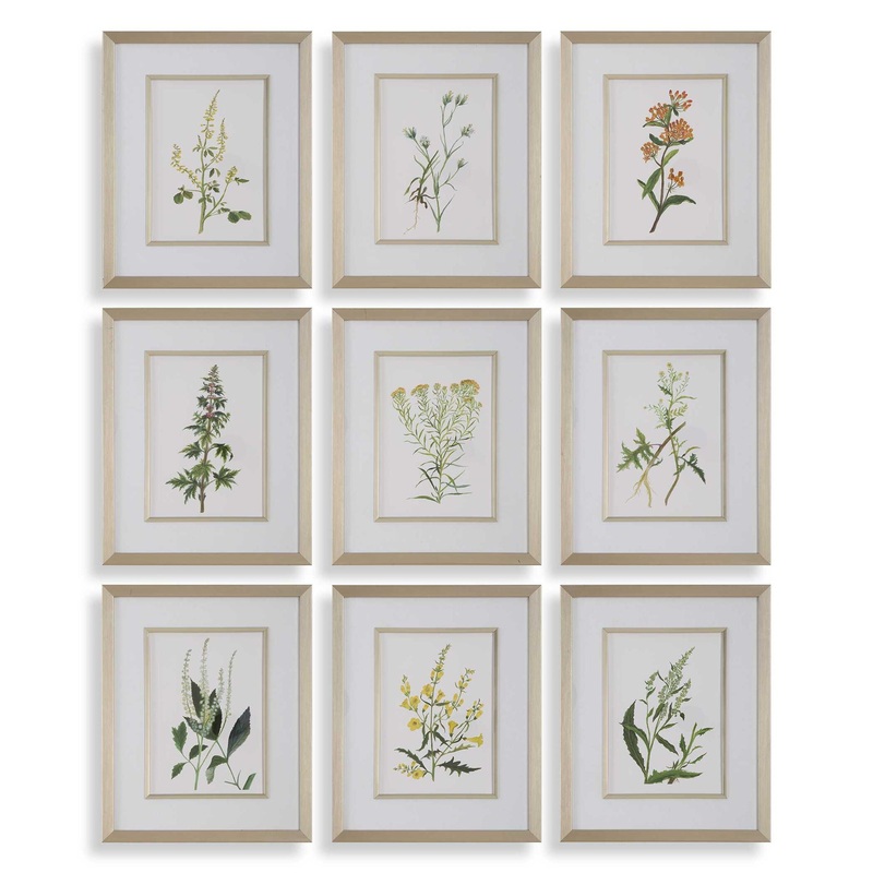 Botanical Flowers – Framed Prints (Set of 9)