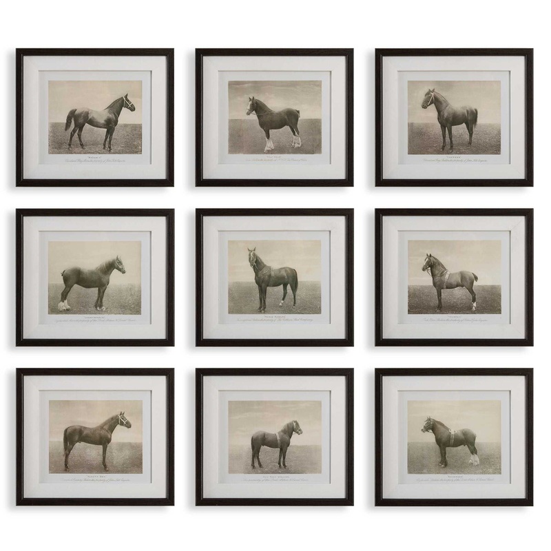 Equine Dynasty – Framed Prints (Set of 9)