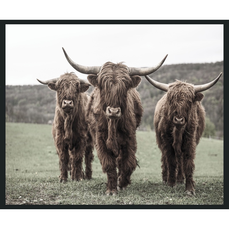 Highland – 48 x 72 Photography – Dark Brown