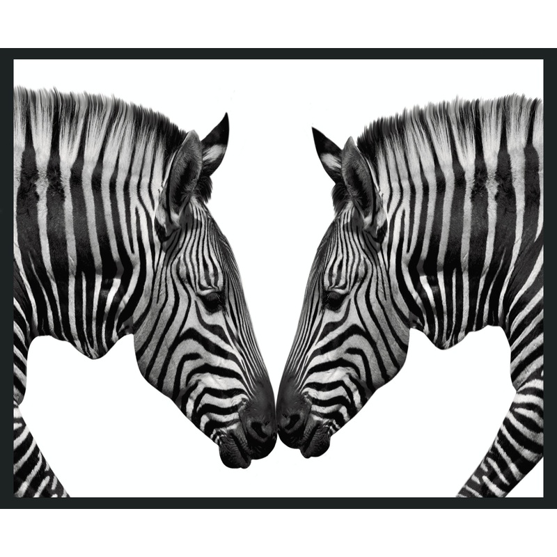 Zebras – 48 x 72 Photography – Black / White